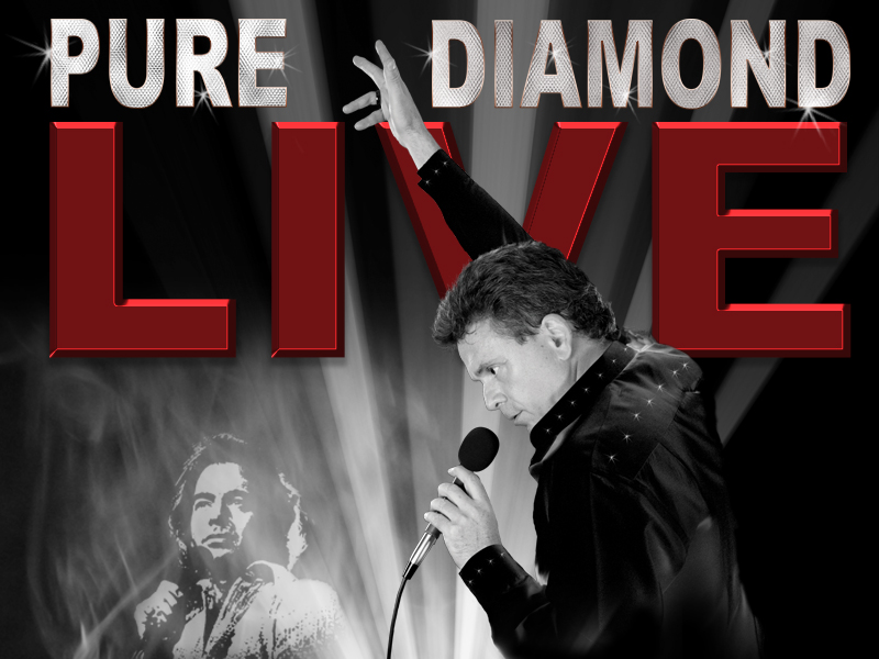 Pure Diamond Tribute Show